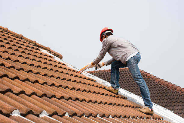 Best Cold Roofs  in Rosita, TX