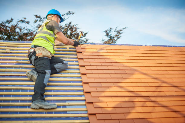 Best Commercial Roofing Services  in Rosita, TX